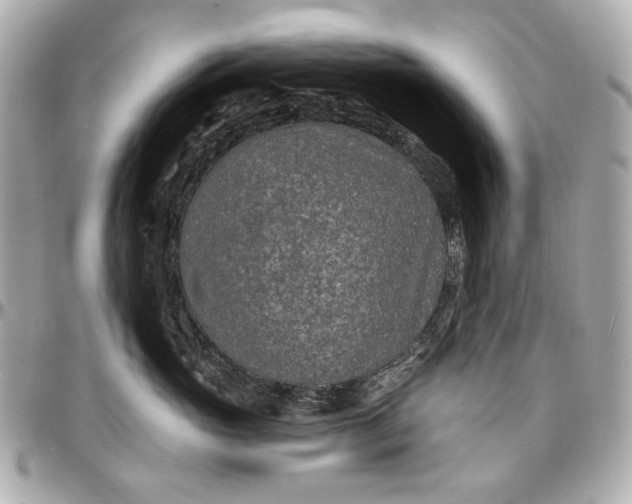 X0000096990765200802221457