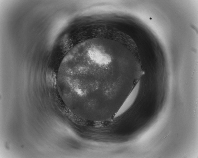 X0000096990766200802221457