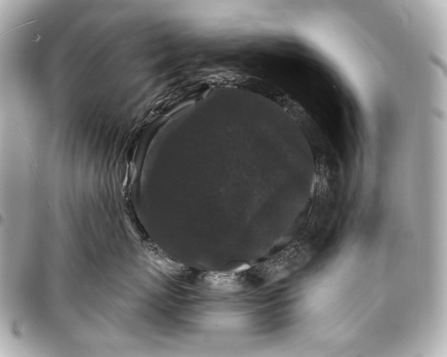 X0000096990767200802221457