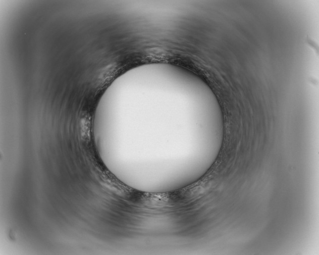 X0000096990768200802221457