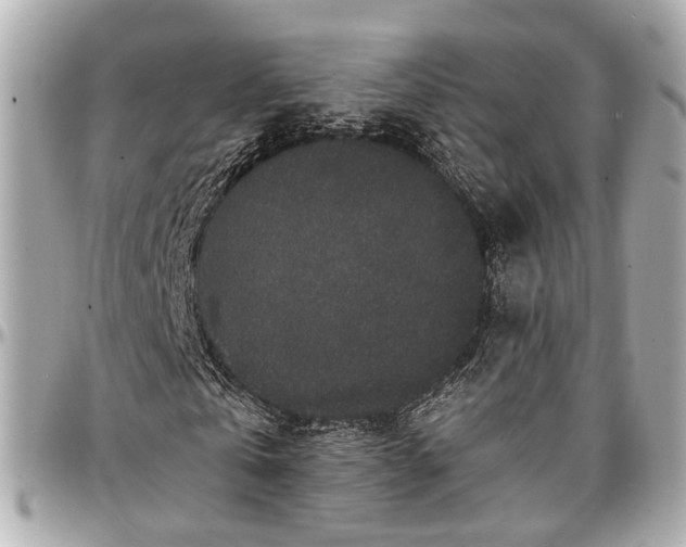 X0000096990769200802221456