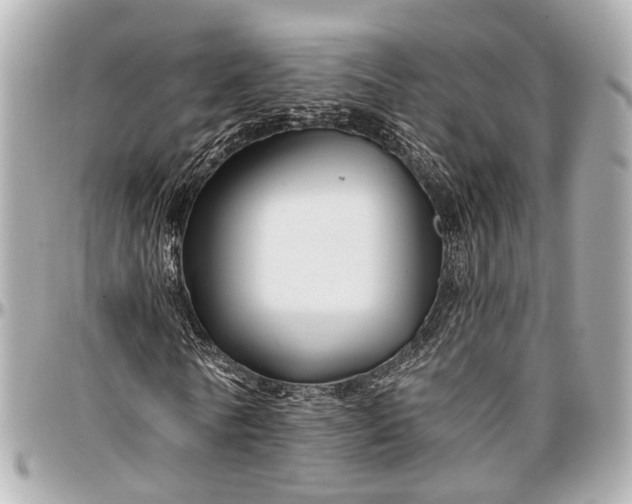 X0000096990770200802221456