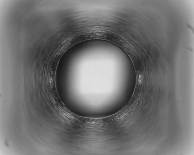 X0000096990771200802221456