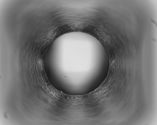 X0000096990772200802221456