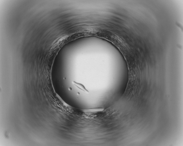 X0000096990773200802221456