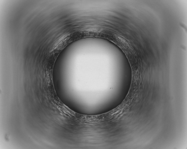 X0000096990774200802221456