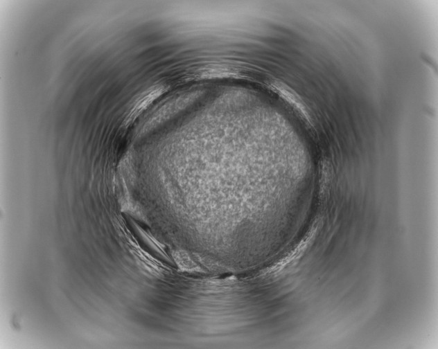 X0000096990777200802221456