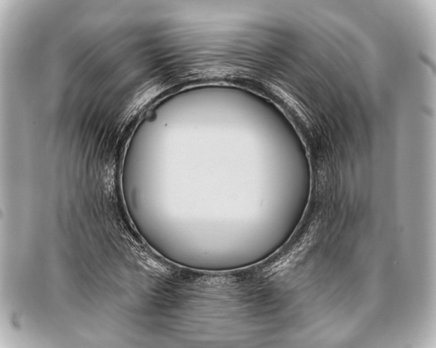 X0000096990778200802221456