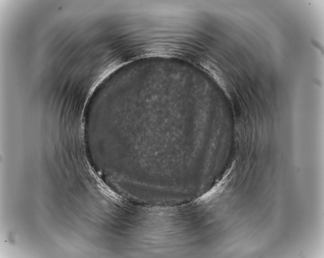 X0000096990779200802221456