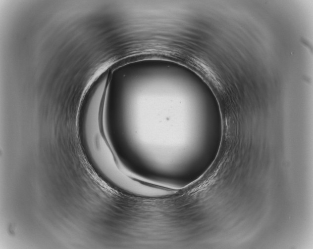 X0000096990780200802221456