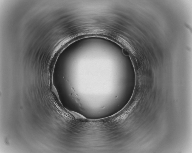 X0000096990781200802221456