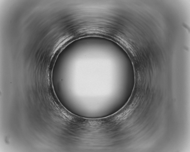 X0000096990782200802221456