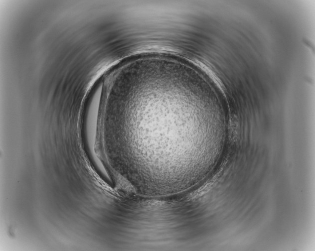 X0000096990783200802221456