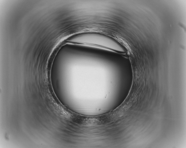 X0000096990784200802221456