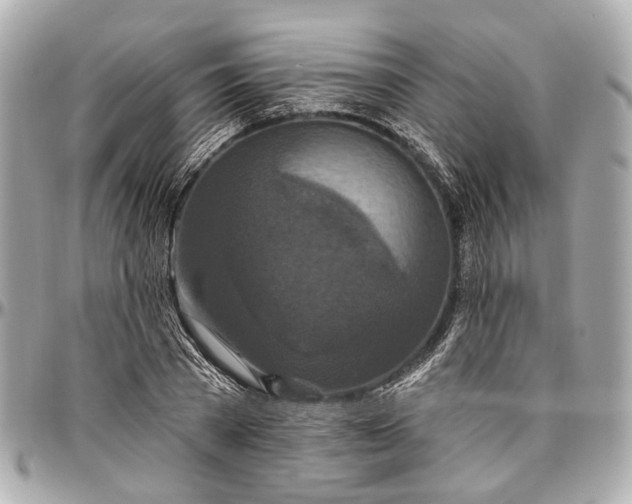 X0000096990785200802221456