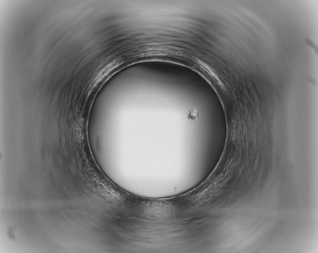 X0000096990786200802221456