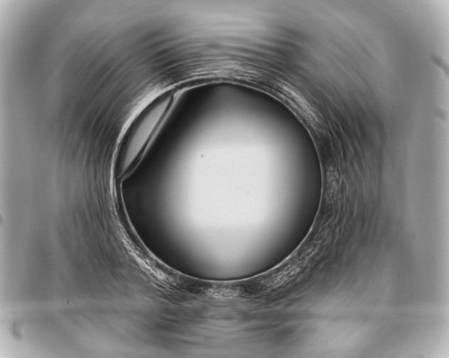 X0000096990788200802221456