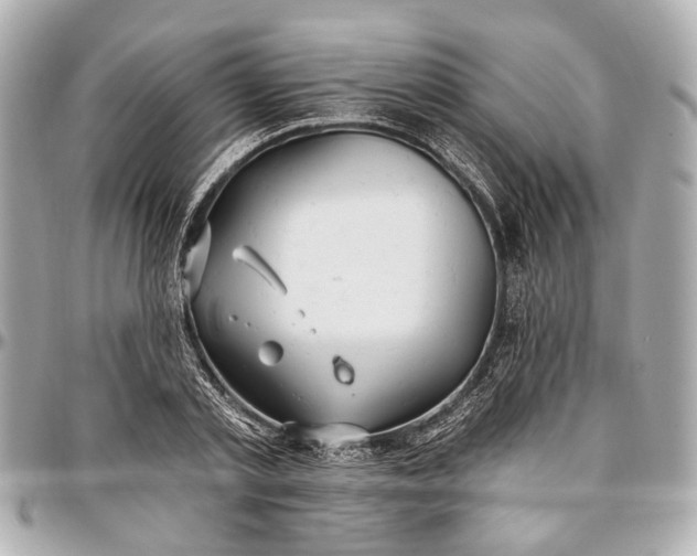 X0000096990789200802221456