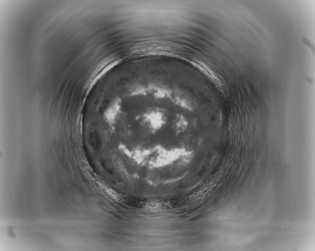 X0000096990790200802221456