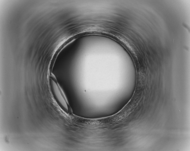 X0000096990791200802221456