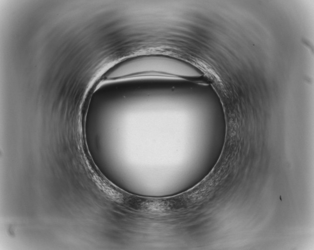 X0000096990792200802221456