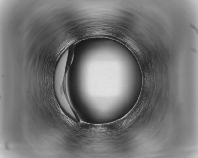 X0000096990793200802221456