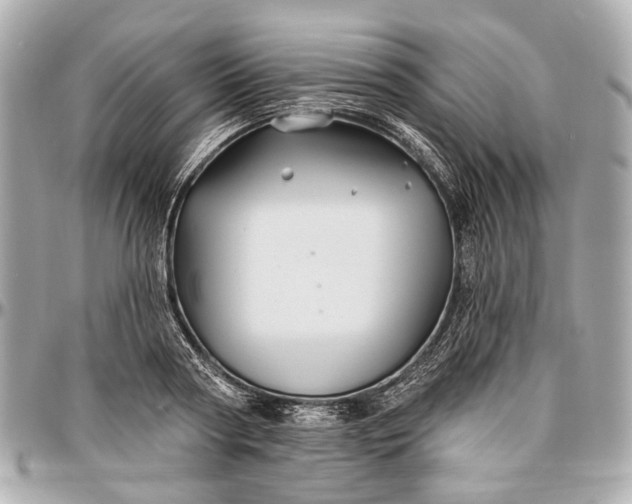 X0000096990794200802221456