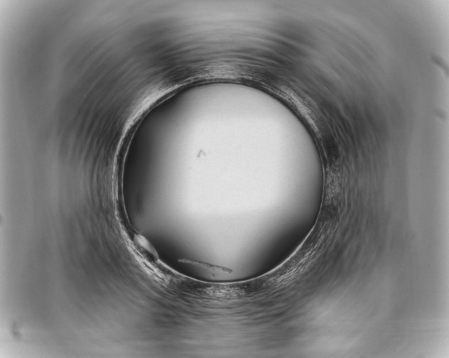 X0000096990795200802221456