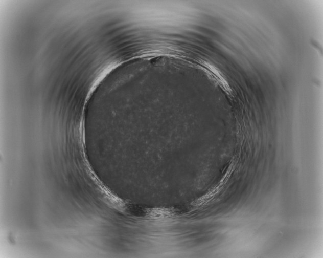 X0000096990796200802221456