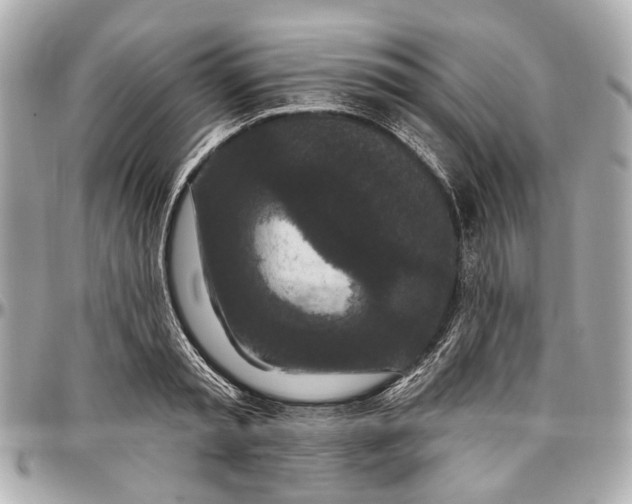 X0000096990797200802221456