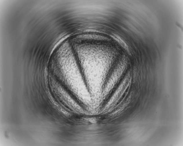 X0000096990798200802221456