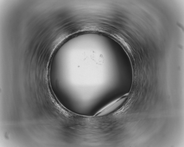 X0000096990799200802221456