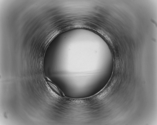 X0000096990801200802221456