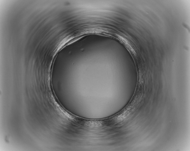 X0000096990802200802221456