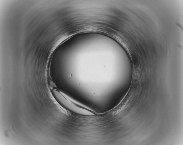 X0000096990803200802221456