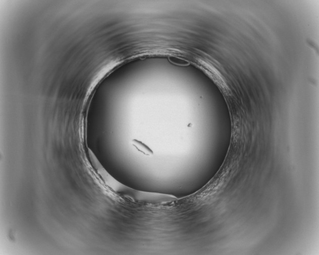 X0000096990804200802221456