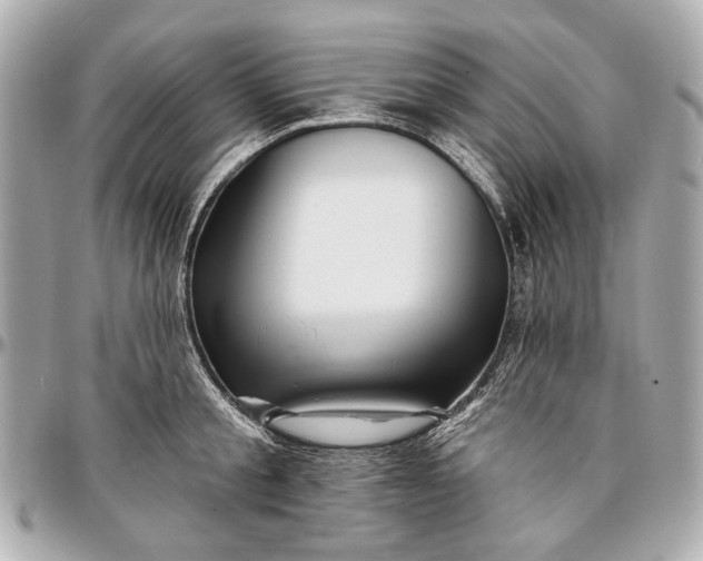 X0000096990805200802221456