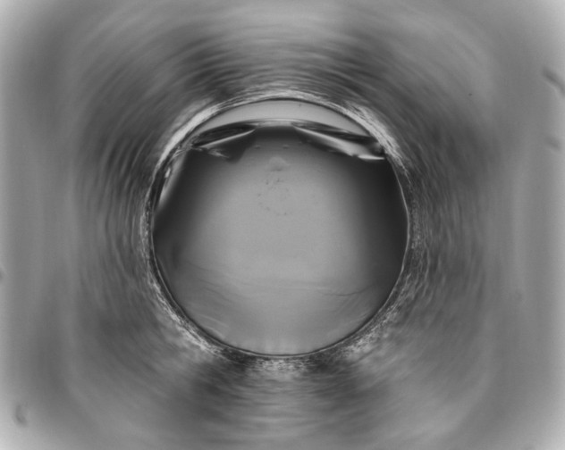 X0000096990806200802221456