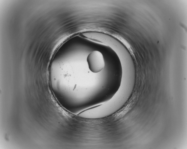 X0000096990807200802221456