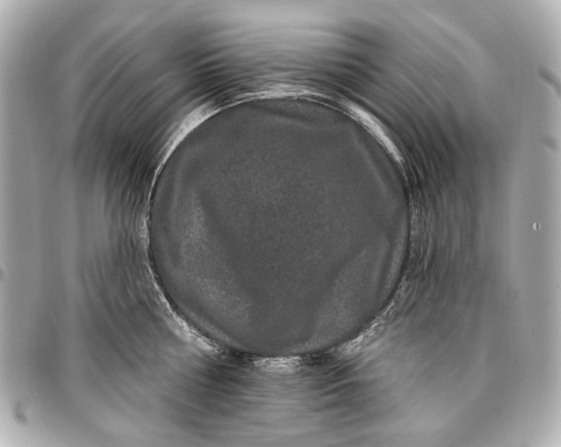 X0000096990810200802221456