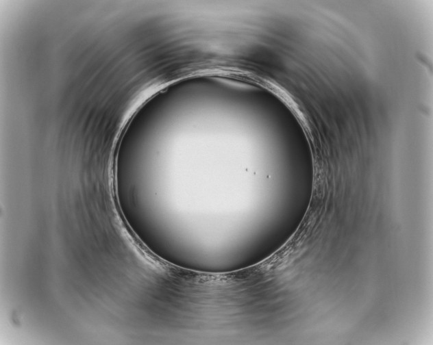 X0000096990811200802221456