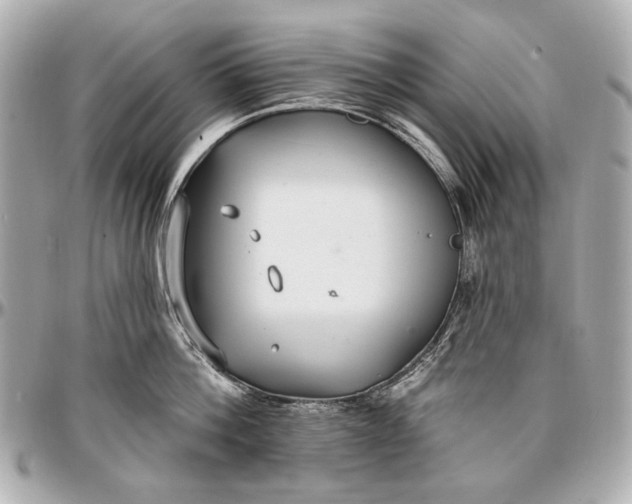 X0000096990812200802221456