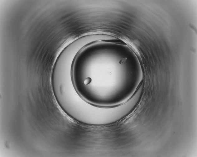 X0000096990813200802221456