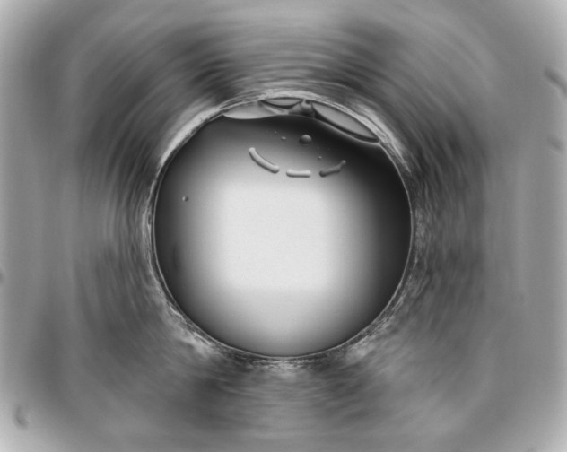 X0000096990814200802221456