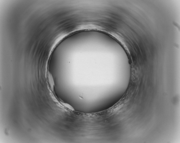 X0000096990815200802221456