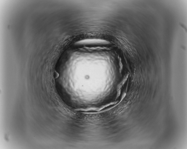 X0000096990817200802221455