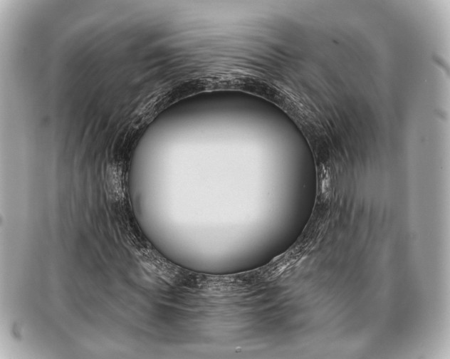 X0000096990819200802221455