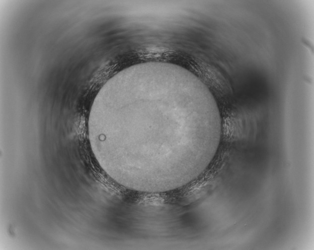 X0000096990820200802221455