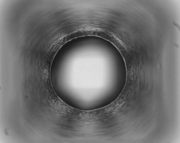 X0000096990821200802221455