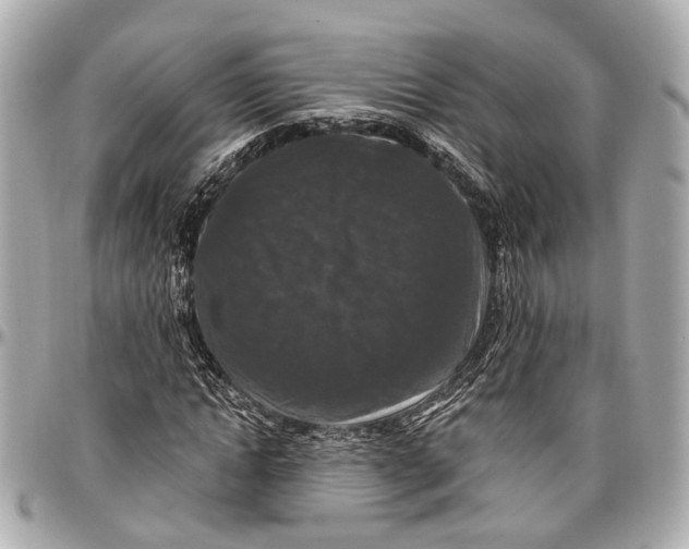 X0000096990822200802221455